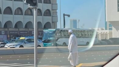 ظهور البرعي