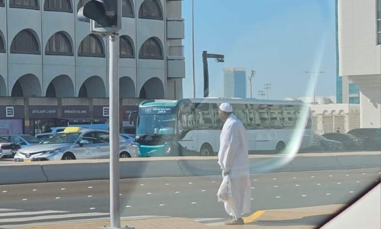 ظهور البرعي