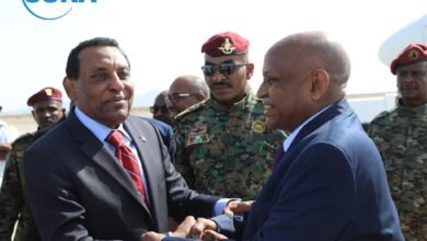 كامل إدريس